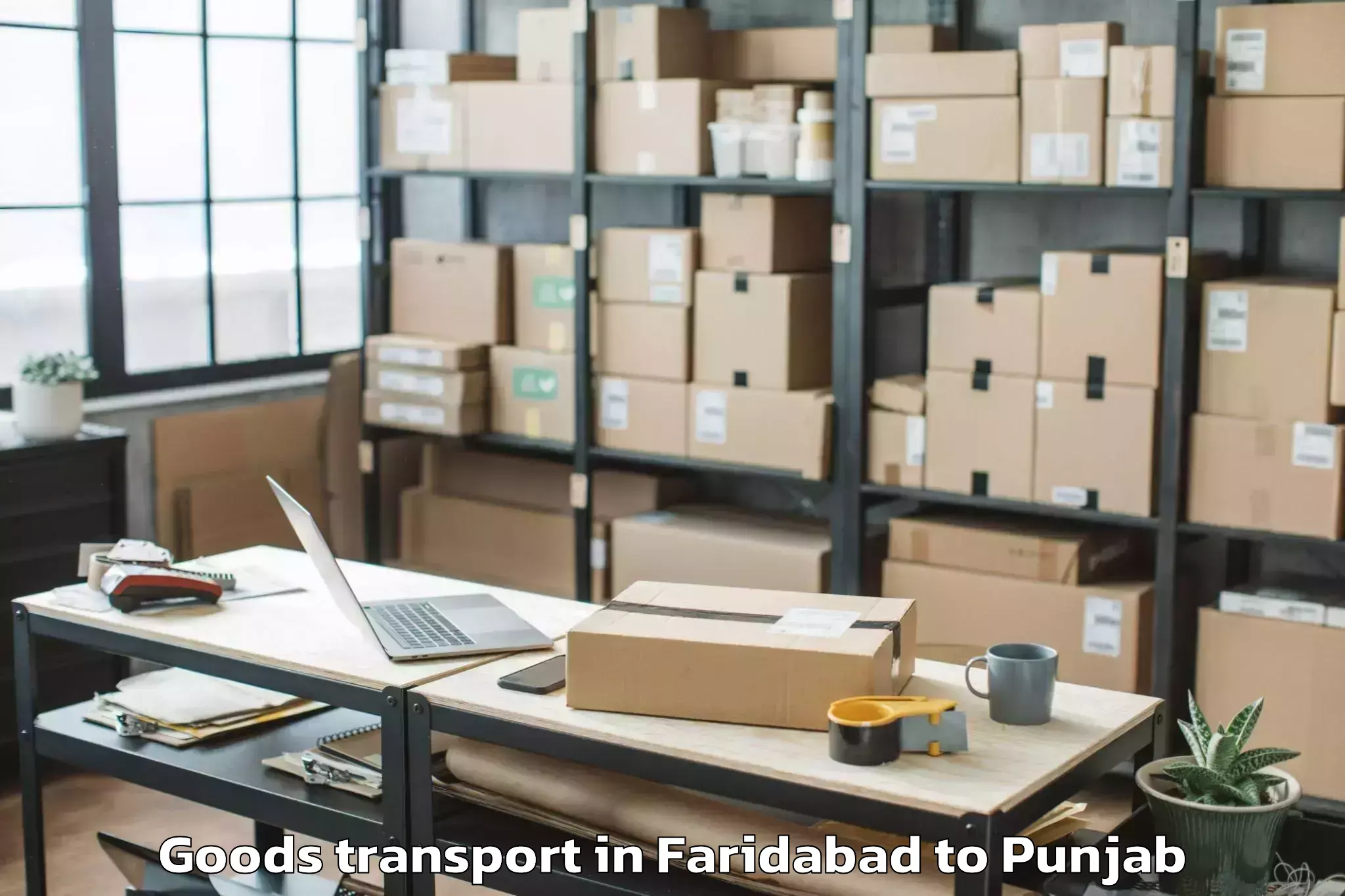 Trusted Faridabad to Sant Baba Bhag Singh Universit Goods Transport